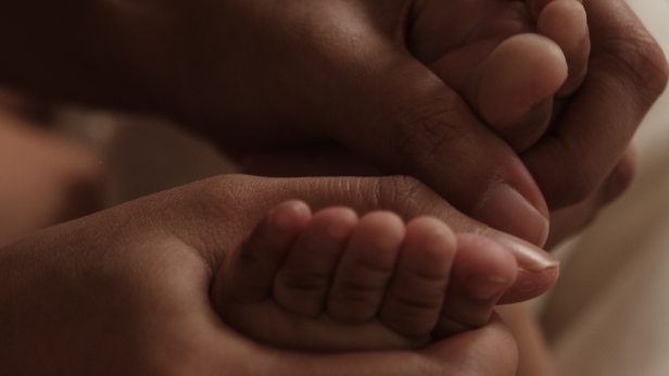 Visibilidade Lsbica e Reproduo: Vamos falar sobre dupla maternidade
