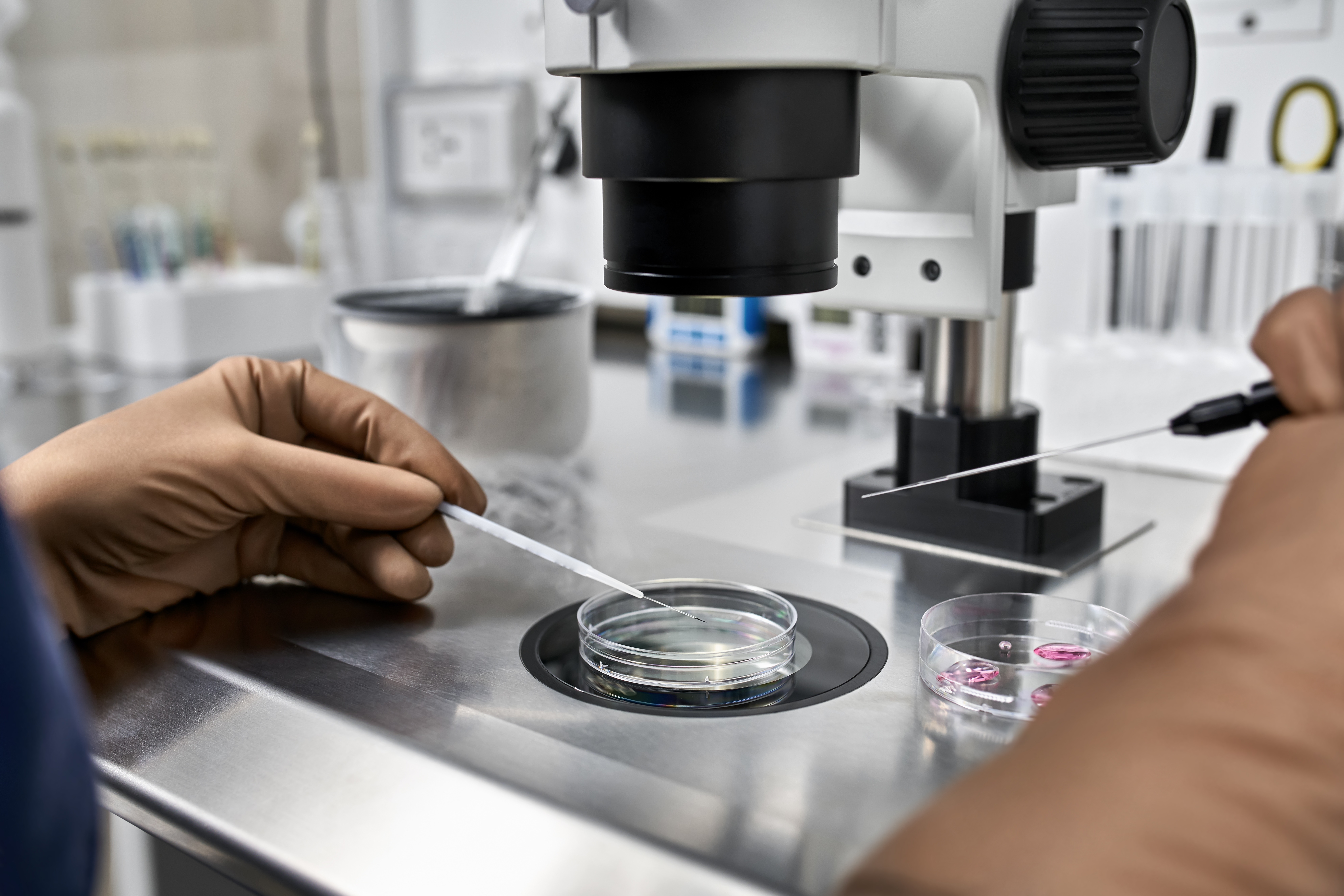 Fertilizao In Vitro