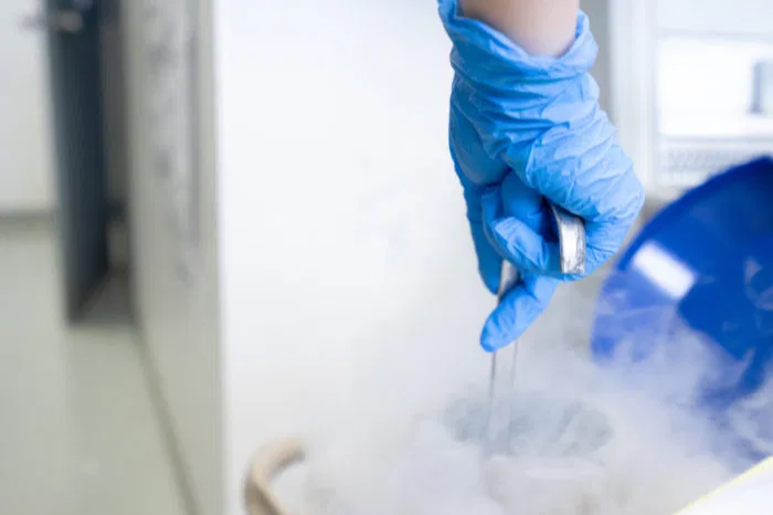 congelamento de vulos para preservar a fertilidade