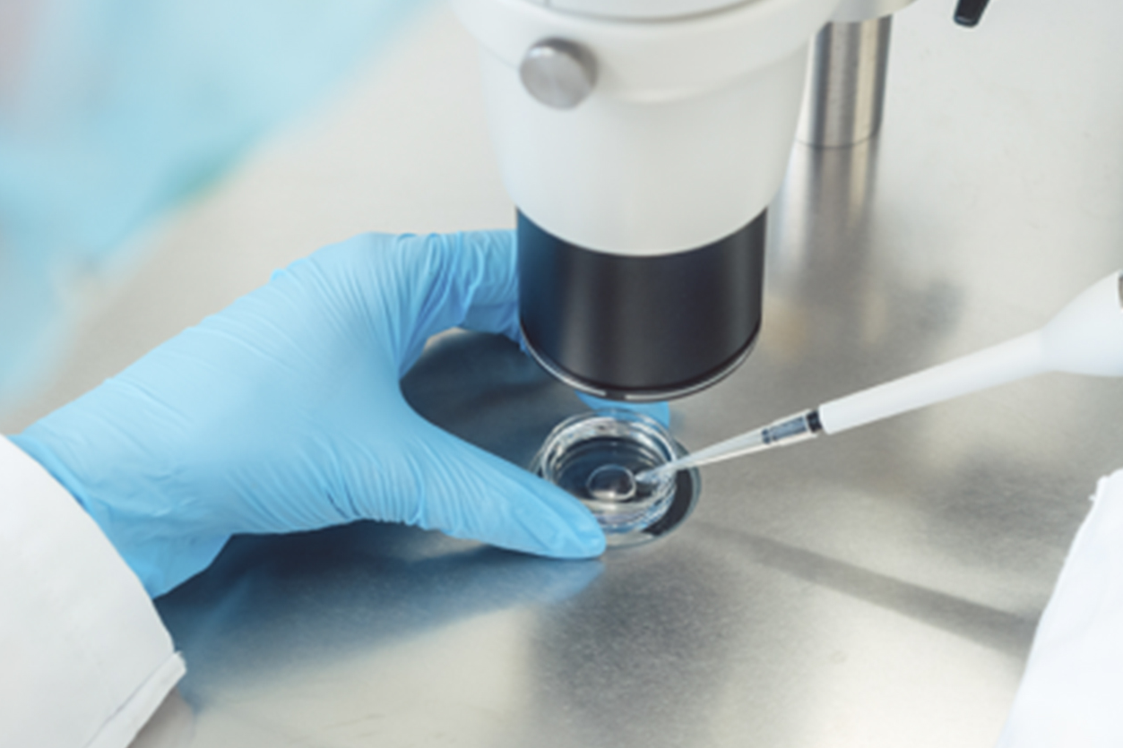 conhea a diferena dos tratamentos para fertilidade